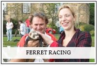 Ferret racing for weddings and parties