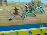 Camel racing game for corporate events and parties