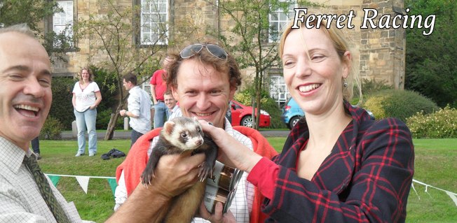 Ferret racing for corporate events